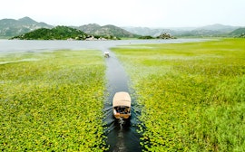 Lacul Skadar