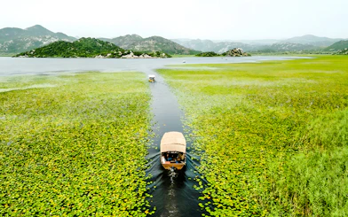 Wooden boat on Lake Skadar during guided sightseeing tour, surrounded by lush greenery.