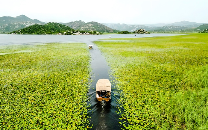 Wooden boat on Lake Skadar during guided sightseeing tour, surrounded by lush greenery.