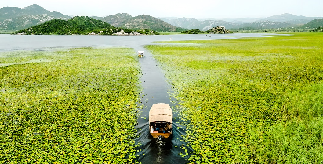 Wooden boat on Lake Skadar during guided sightseeing tour, surrounded by lush greenery.