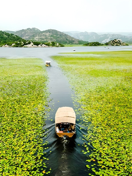 Wooden boat on Lake Skadar during guided sightseeing tour, surrounded by lush greenery.