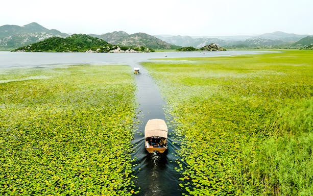 Wooden boat on Lake Skadar during guided sightseeing tour, surrounded by lush greenery.