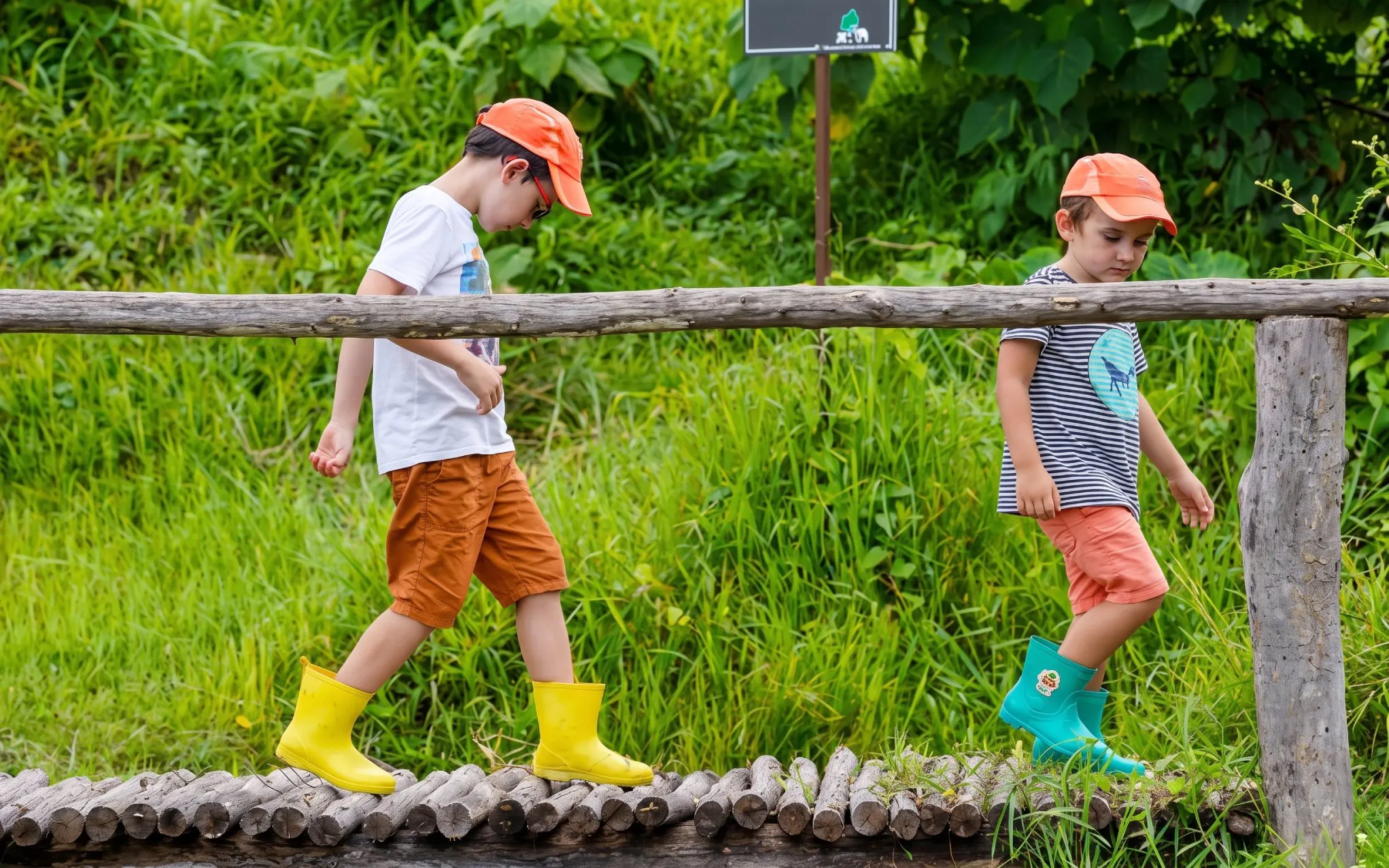 Children crossing a wooden log bridge at Phuket Elephant Nature Park viewpoint.