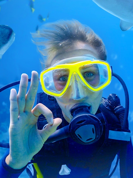 Diver giving OK sign next to shark at Shark Dive Xtreme, SEA LIFE Sydney.