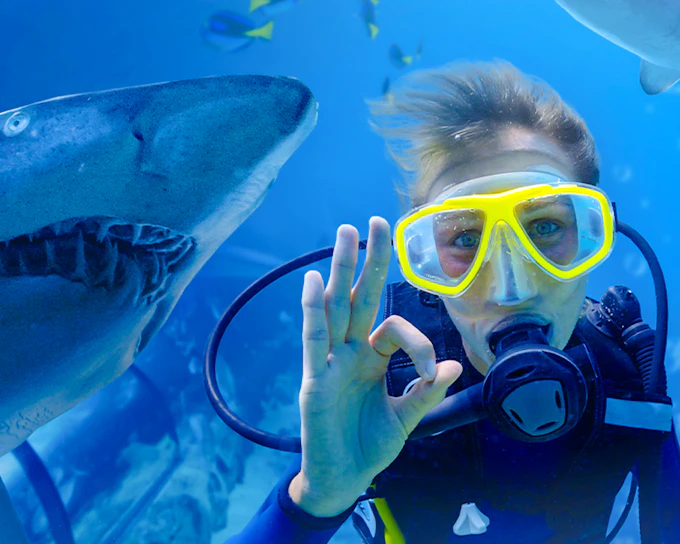Shark Dive Xtreme Tickets at SEA LIFE Melbourne Aquarium