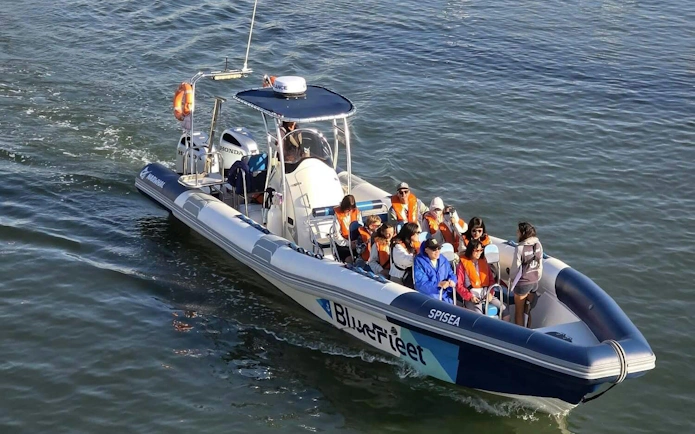 Tourists on a boat during a dolphin watching cruise from Lagos.