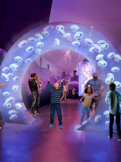 Visitors exploring jellyfish exhibit at SeaWorld San Diego.