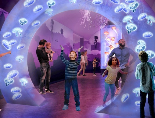 Visitors exploring jellyfish exhibit at SeaWorld San Diego.