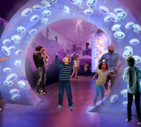 Visitors exploring jellyfish exhibit at SeaWorld San Diego.