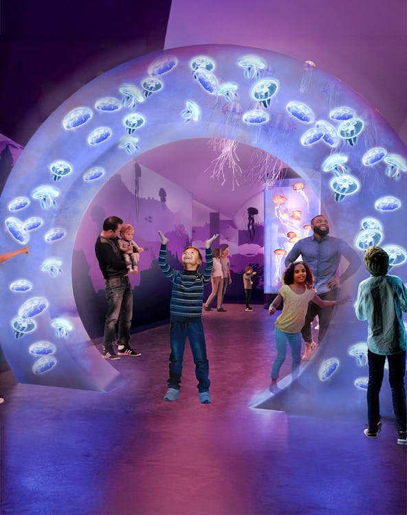 Visitors exploring jellyfish exhibit at SeaWorld San Diego.