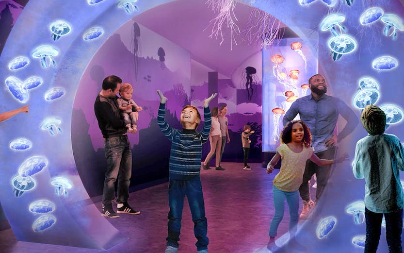Visitors exploring jellyfish exhibit at SeaWorld San Diego.