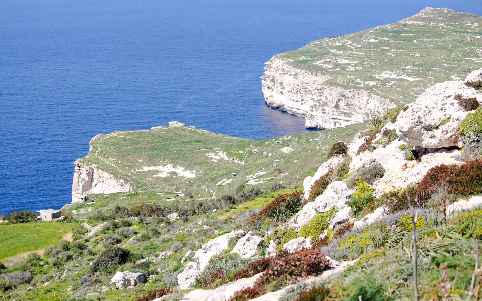 Mdina, Dingli Cliffs, and San Anton Gardens Guided Tour Image 3