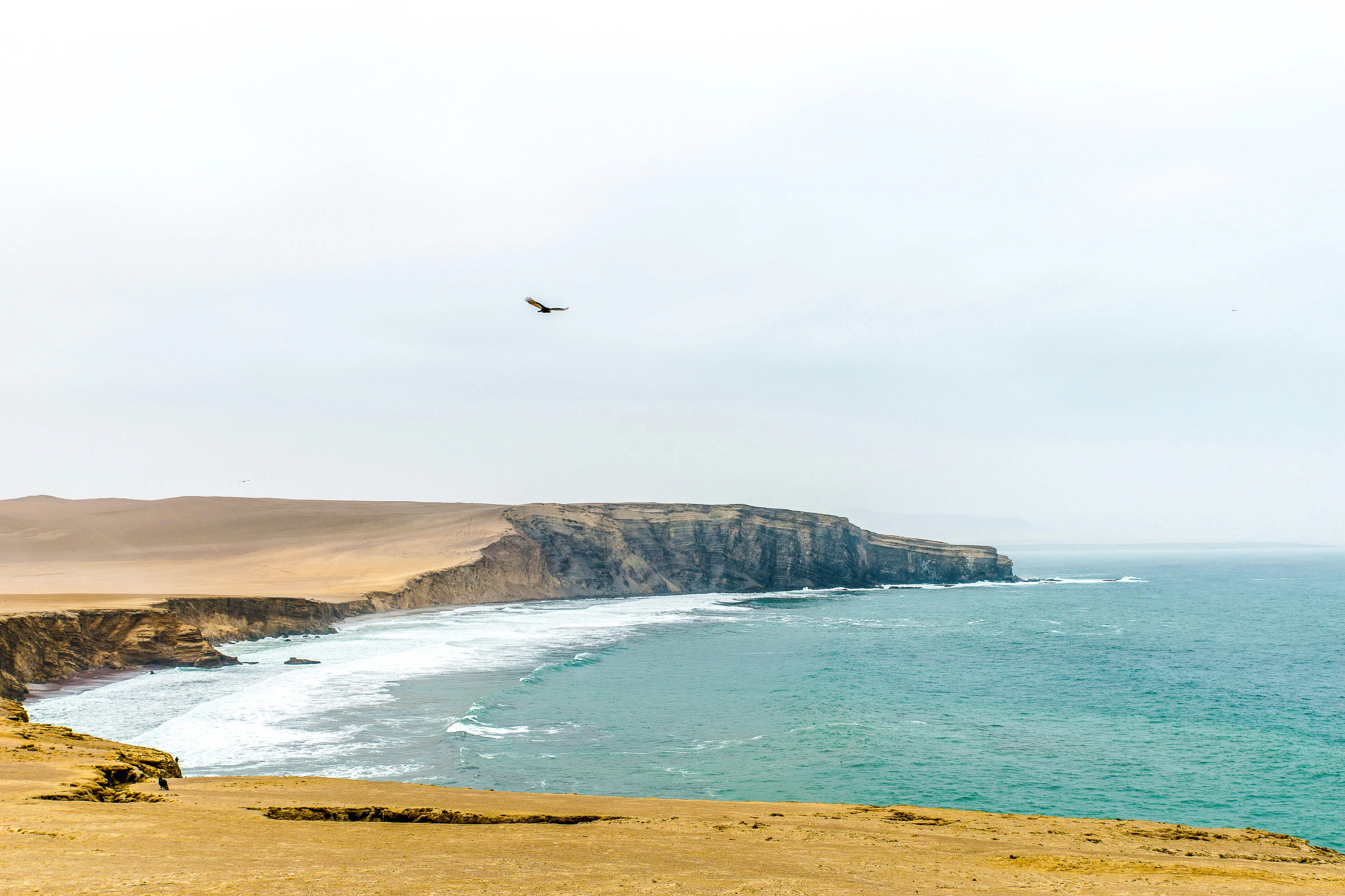 saindo de lima: tour de um dia a paracas com passeio de barco às ilhas ballestas, buggy nas dunas e sandboard, degustação de pisco e almoço-1
