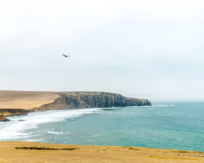 From Lima: Paracas Day Trip With Ballestas Islands Boat Tour, Dune Buggy & Sandboarding, Pisco Tasting & Lunch