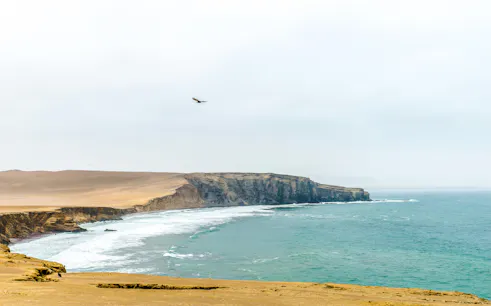 saindo de lima: tour de um dia a paracas com passeio de barco às ilhas ballestas, buggy nas dunas e sandboard, degustação de pisco e almoço-1