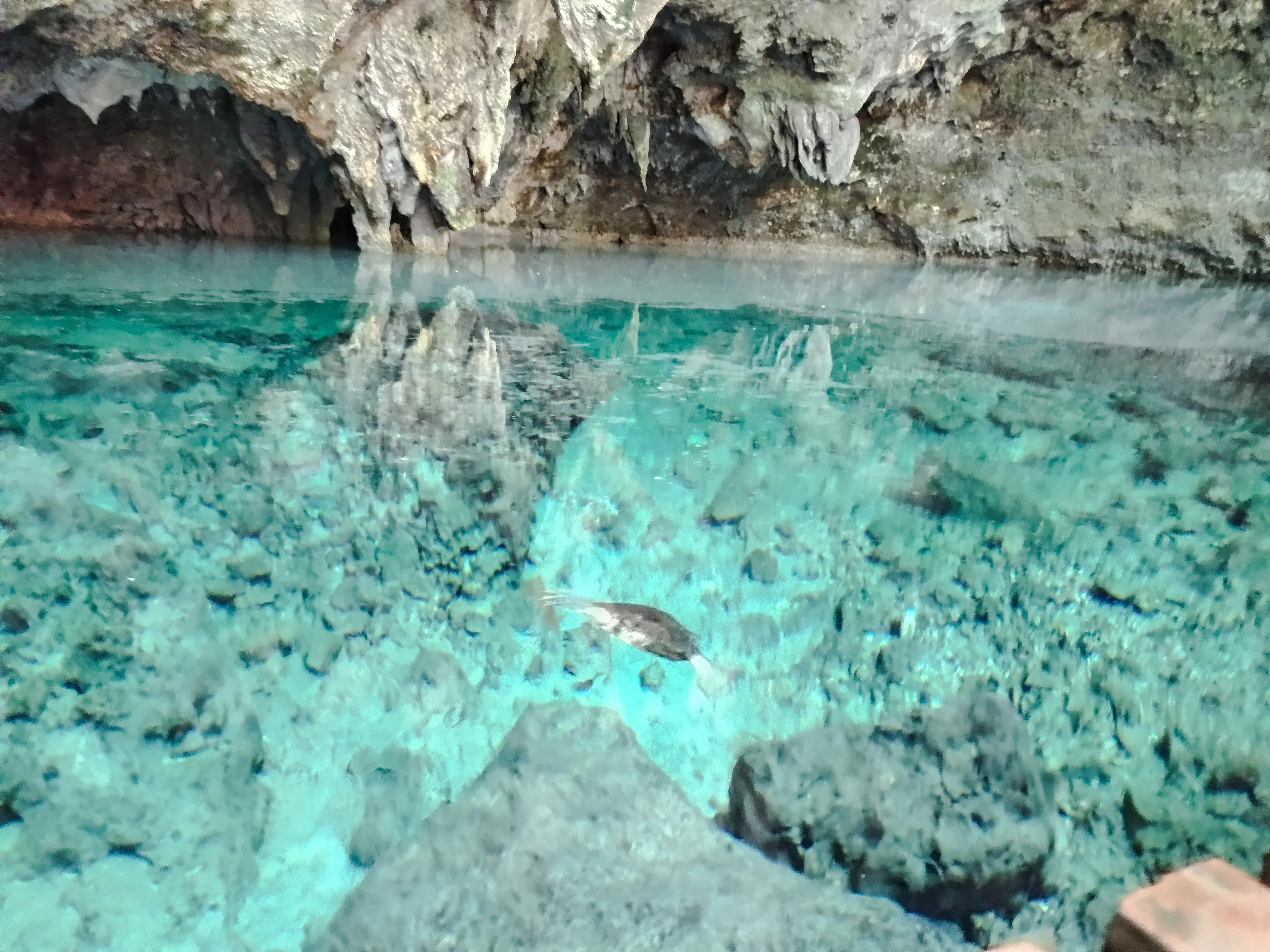 Los Tres Ojos cave with turquoise water and rock formations, Santo Domingo tour.