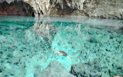 Los Tres Ojos cave with turquoise water and rock formations, Santo Domingo tour.