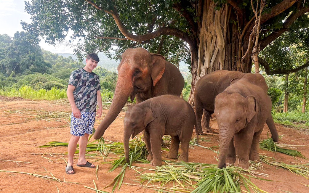 Person with elephants at Chiang Mai Elephant Sanctuary, Thailand.