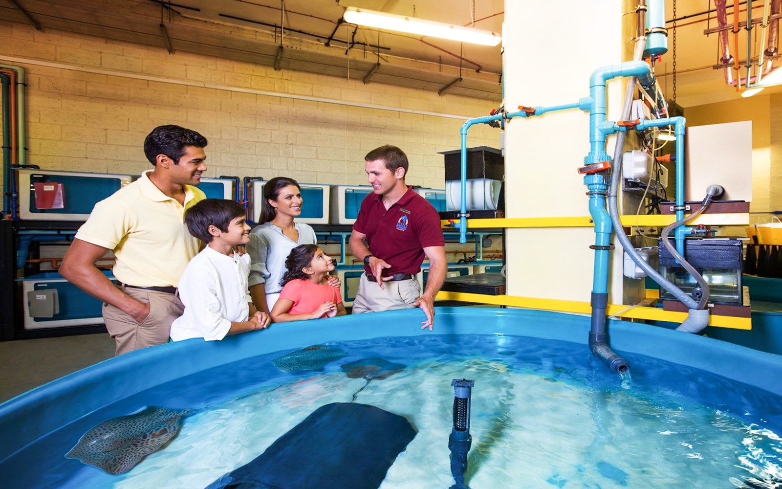 Family learning about marine life at Atlantis Fish Tales Tour, Lost Chambers.