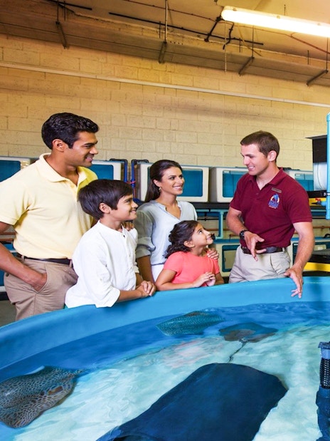 Family learning about marine life at Atlantis Fish Tales Tour, Lost Chambers.