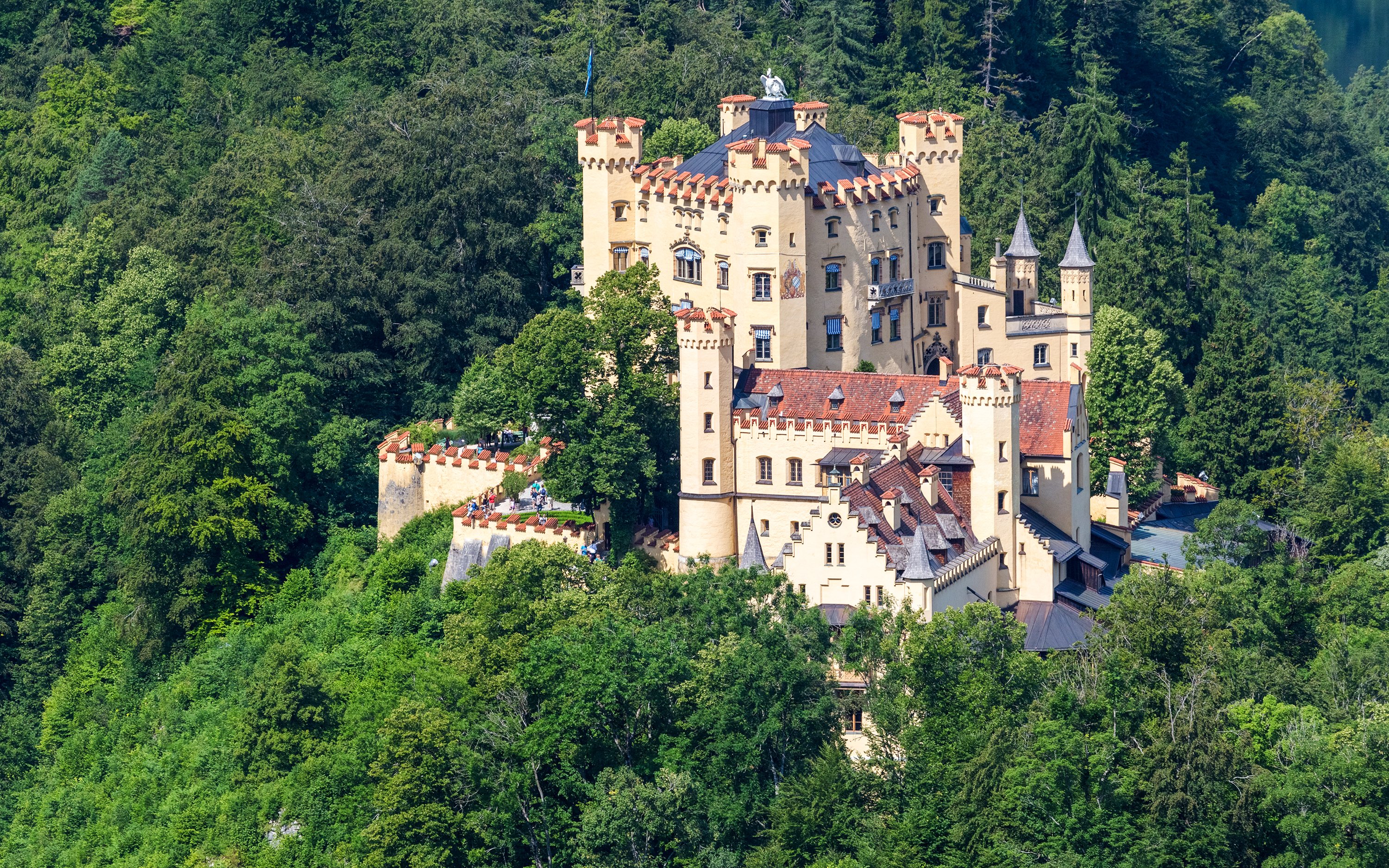 Hohenschwangau Castle surrounded by lush green forest in Bavaria, Germany.