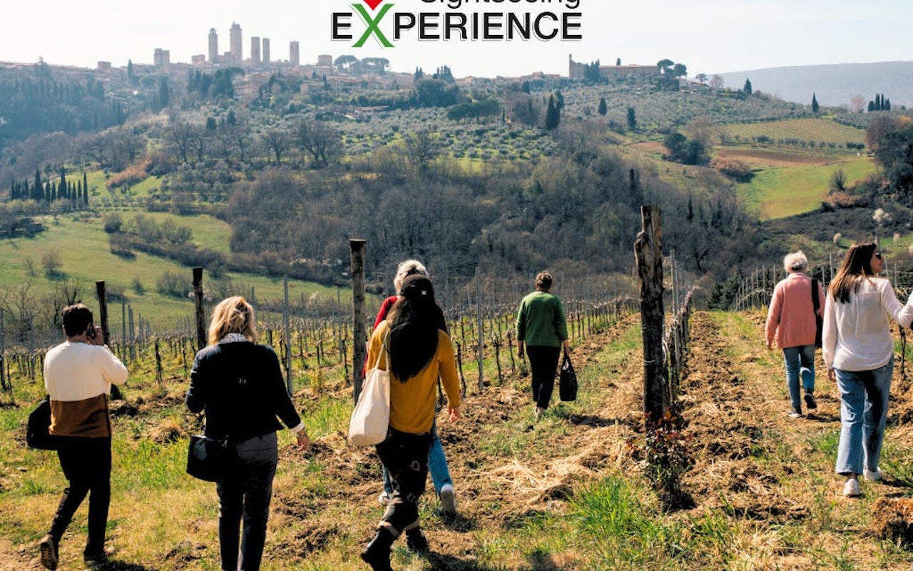 Esperienza in Toscana: Pisa, Siena, San Gimignano e il Chianti con — 6