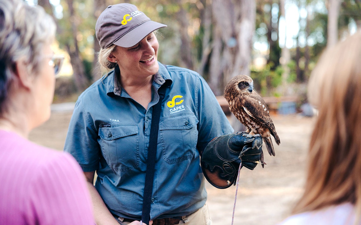 Capes Raptor Centre guide holding an owl during an educational tour.