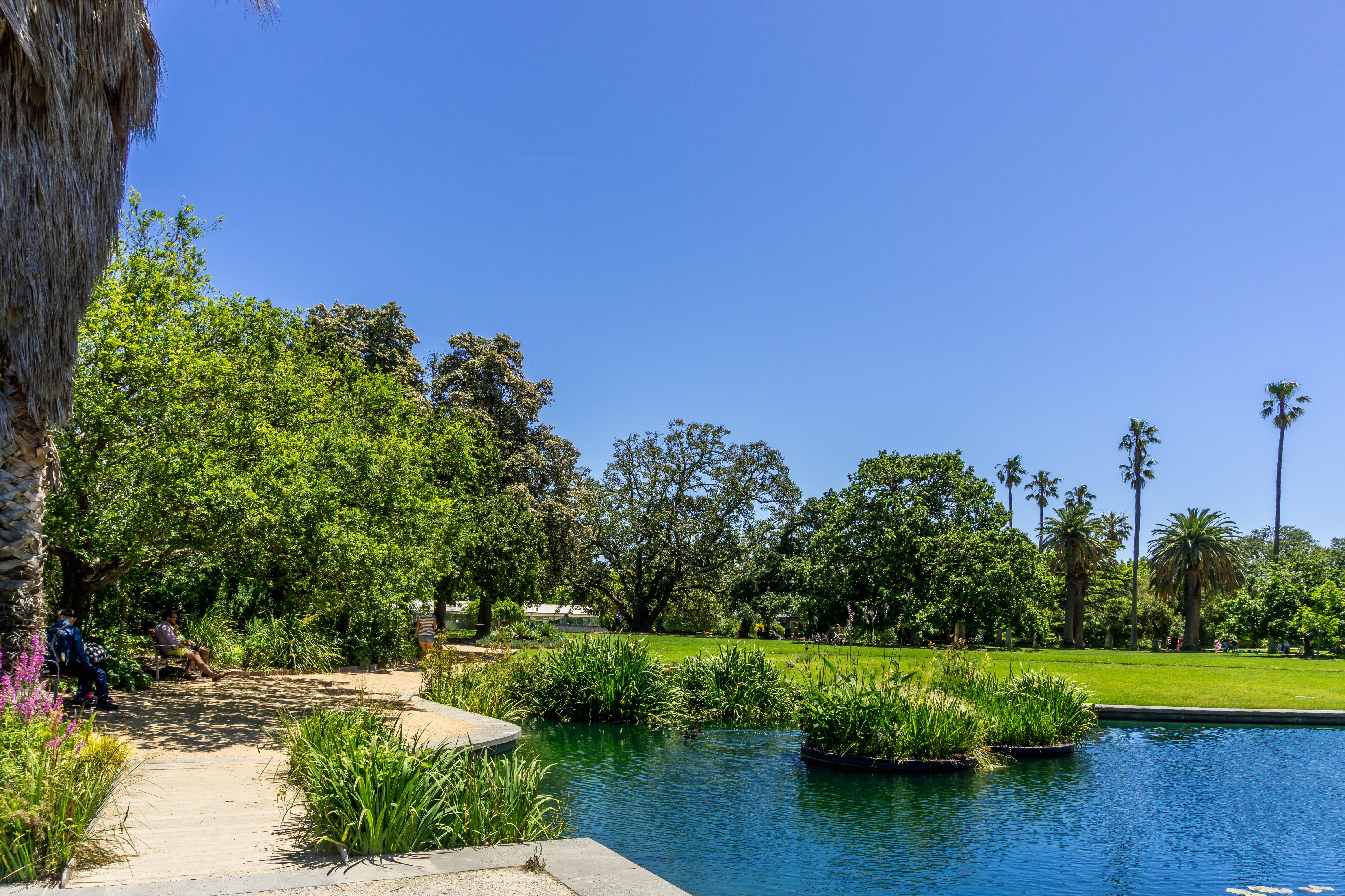 Visitors exploring the vibrant flora at St Kilda Botanical Garden, Melbourne, Australia.