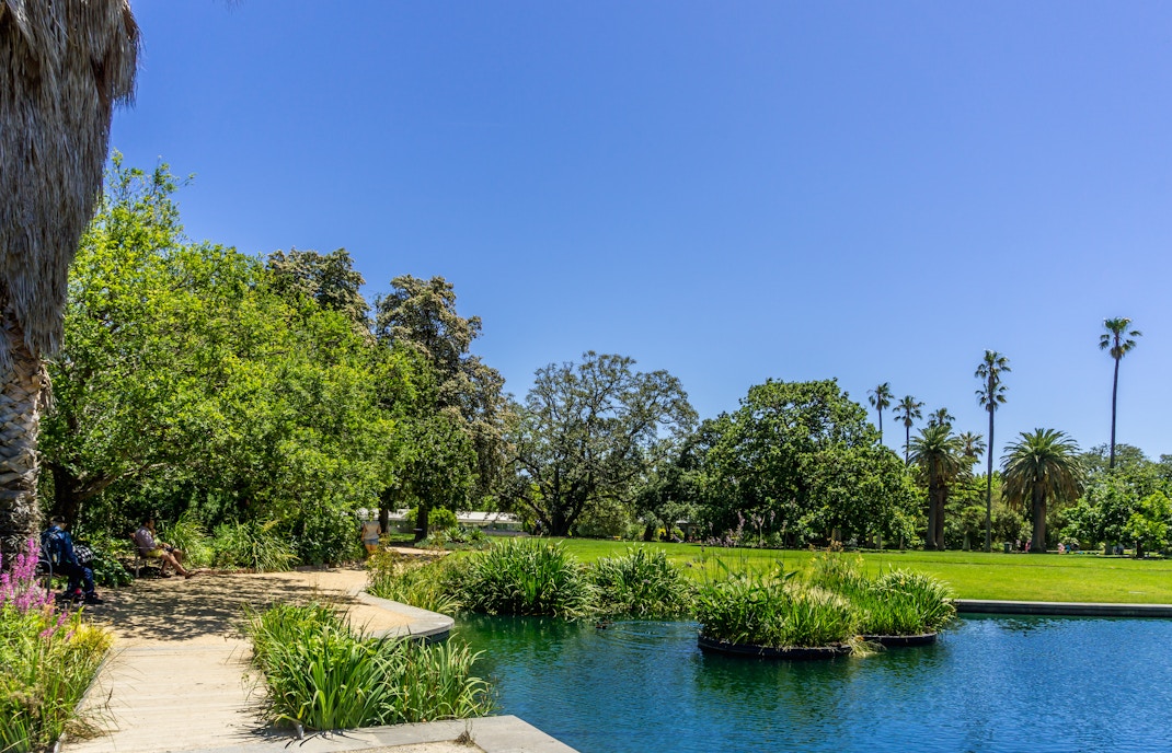 Visitors exploring the vibrant flora at St Kilda Botanical Garden, Melbourne, Australia.