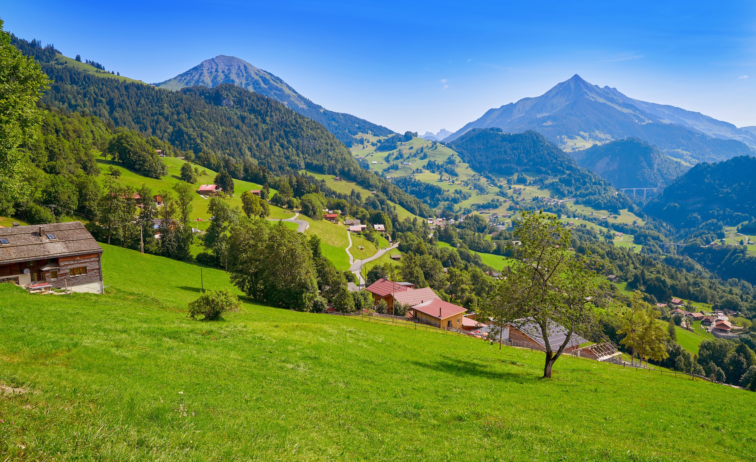 Grindelwald Valley in May
