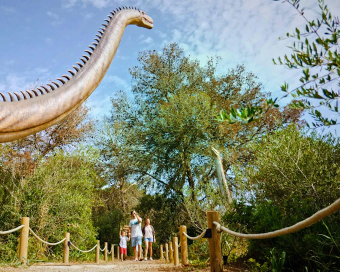 From Alcúdia: Hams' Caves Half-Day Trip with Dinosaurland