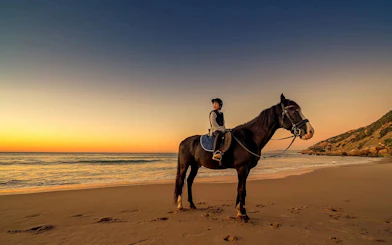 Horseback rider on beach at sunset, Tangier coastal trail, Mnar region.