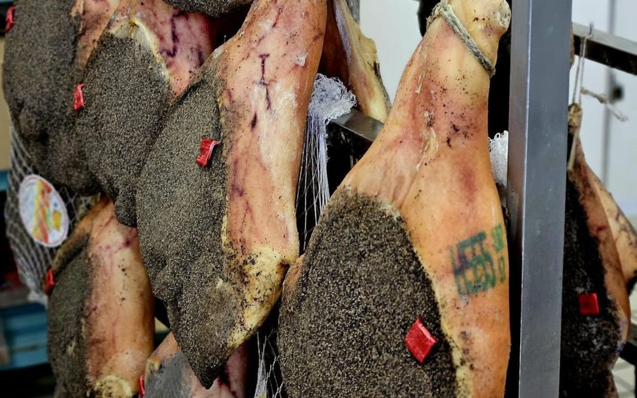 genoa food walking tour with 6 tastings and local wine guided by expert through historic city sights-4