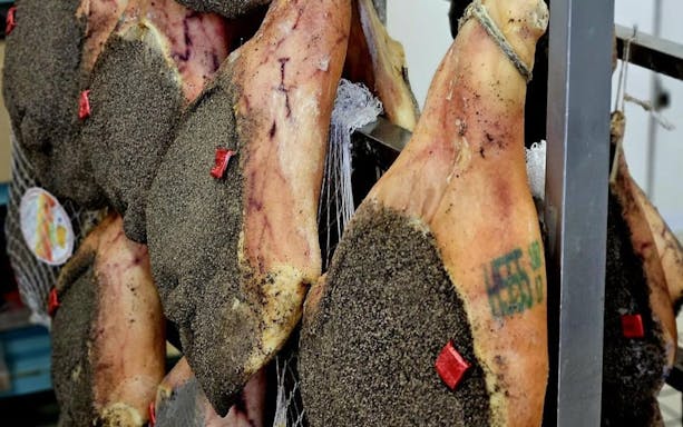 genoa food walking tour with 6 tastings and local wine guided by expert through historic city sights-4