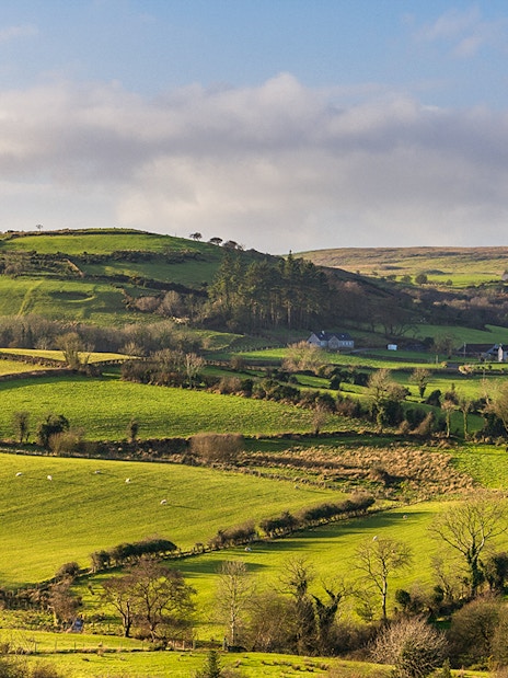 Rolling green hills in Northern Ireland, a filming location for Game of Thrones near Belfast.