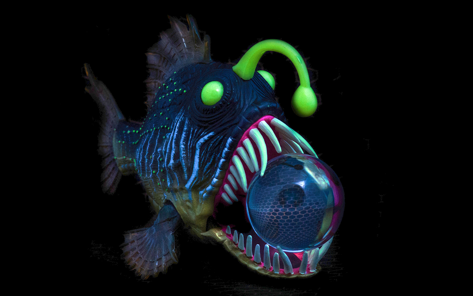Anglerfish swimming in a dimly lit aquarium exhibit.