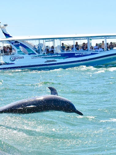 Cruceros con delfines en Mandurah