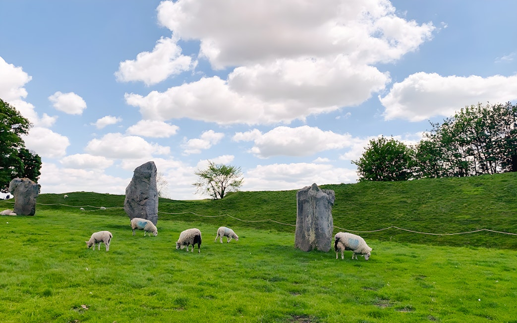 Sheep grazing among standing stones at Avebury on a sunny day.
