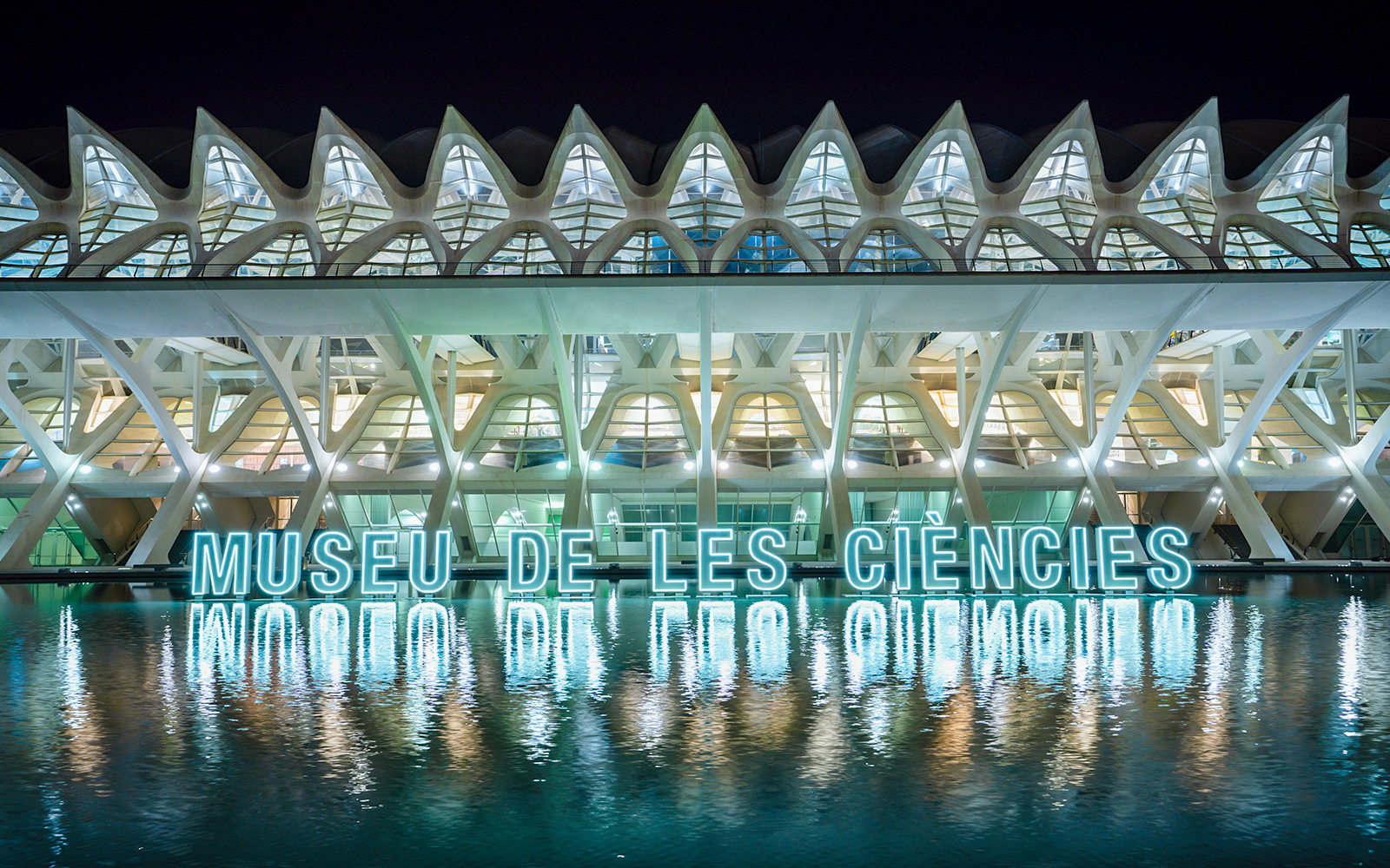 Príncep Felipe Science Museum illuminated facade at night, Valencia.