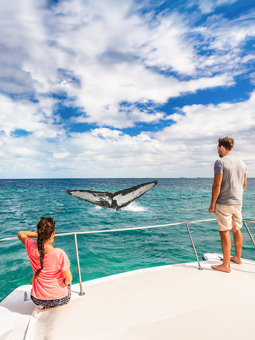 Golfo Aranci Whale Watching