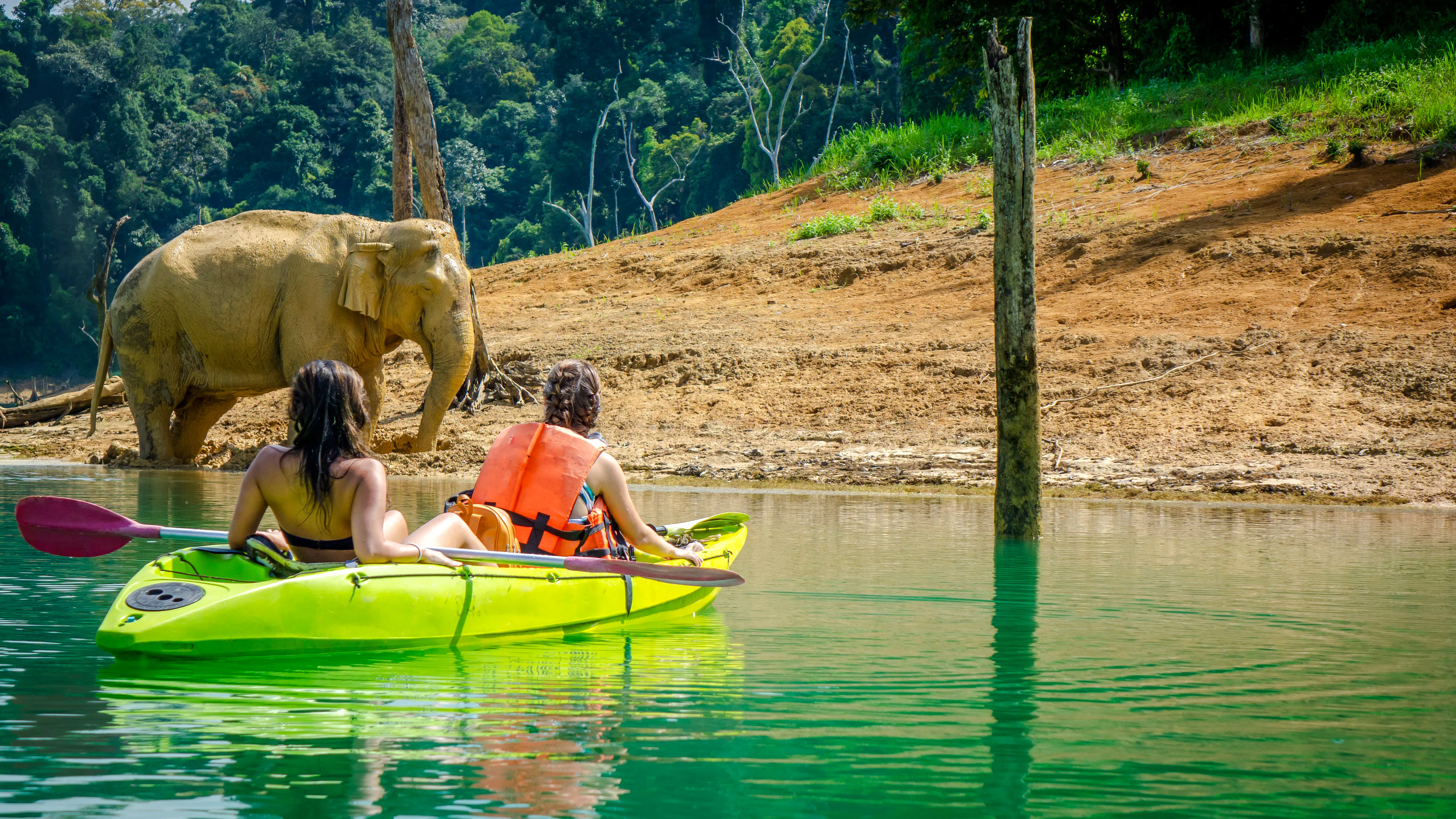 à partir de phuket : excursion d'une journée au parc national de khao sok et au lac cheow lan, avec balade en bateau à longue queue et descente en radeau de bambou-1