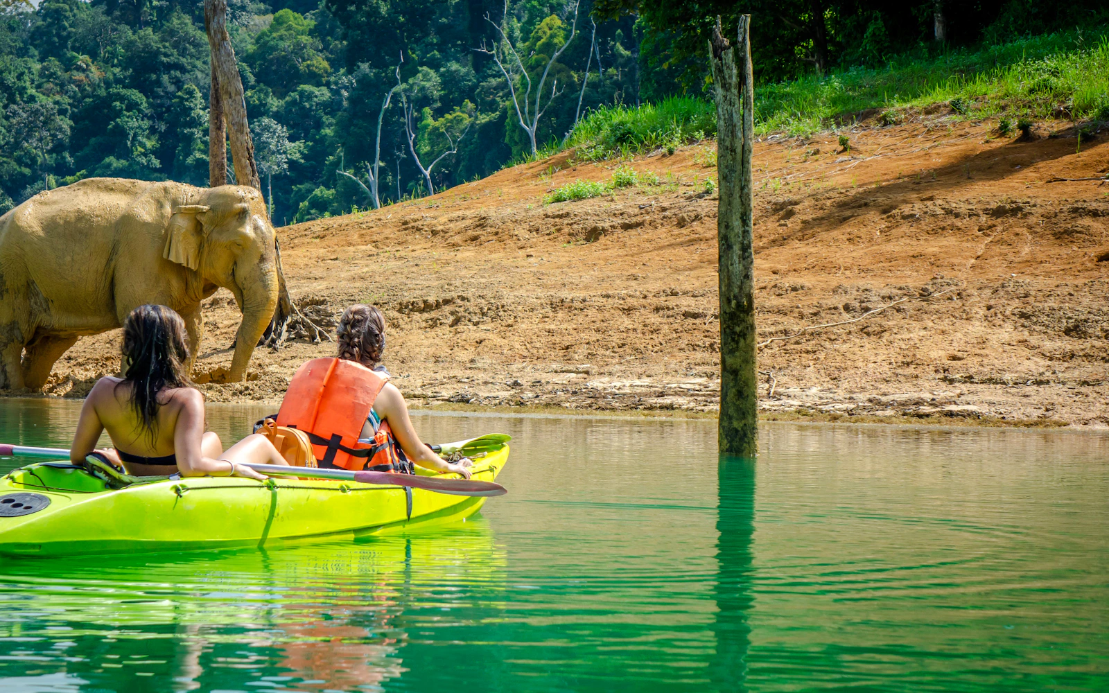 From Phuket: Khao Sok National Park and Cheow Lan Lake Day Trip with Long-Tail Boat and Bamboo Rafting