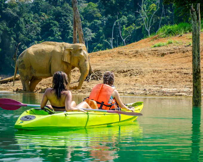 From Phuket: Khao Sok National Park and Cheow Lan Lake Day Trip with Long-Tail Boat and Bamboo Rafting (Product 50627)