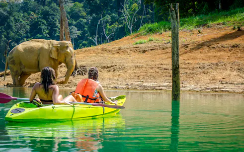 à partir de phuket : excursion d'une journée au parc national de khao sok et au lac cheow lan, avec balade en bateau à longue queue et descente en radeau de bambou-1