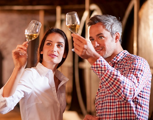 Couple having wine