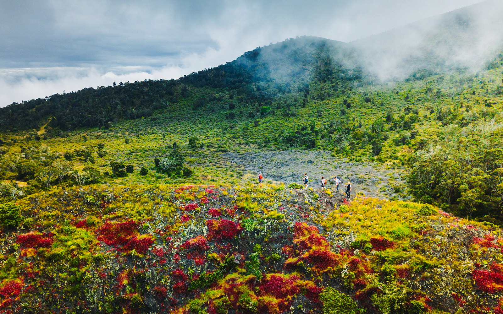 Guests hiking on vibrant volcanic terrain during the Hidden Craters Hike.