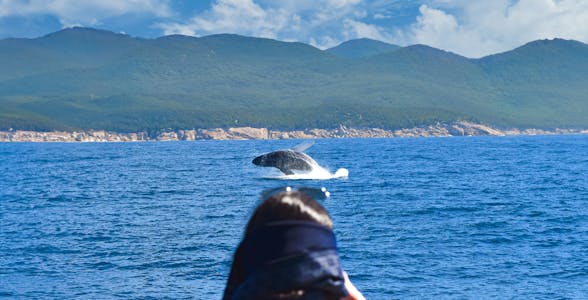 Wilsons Promontory Cruises