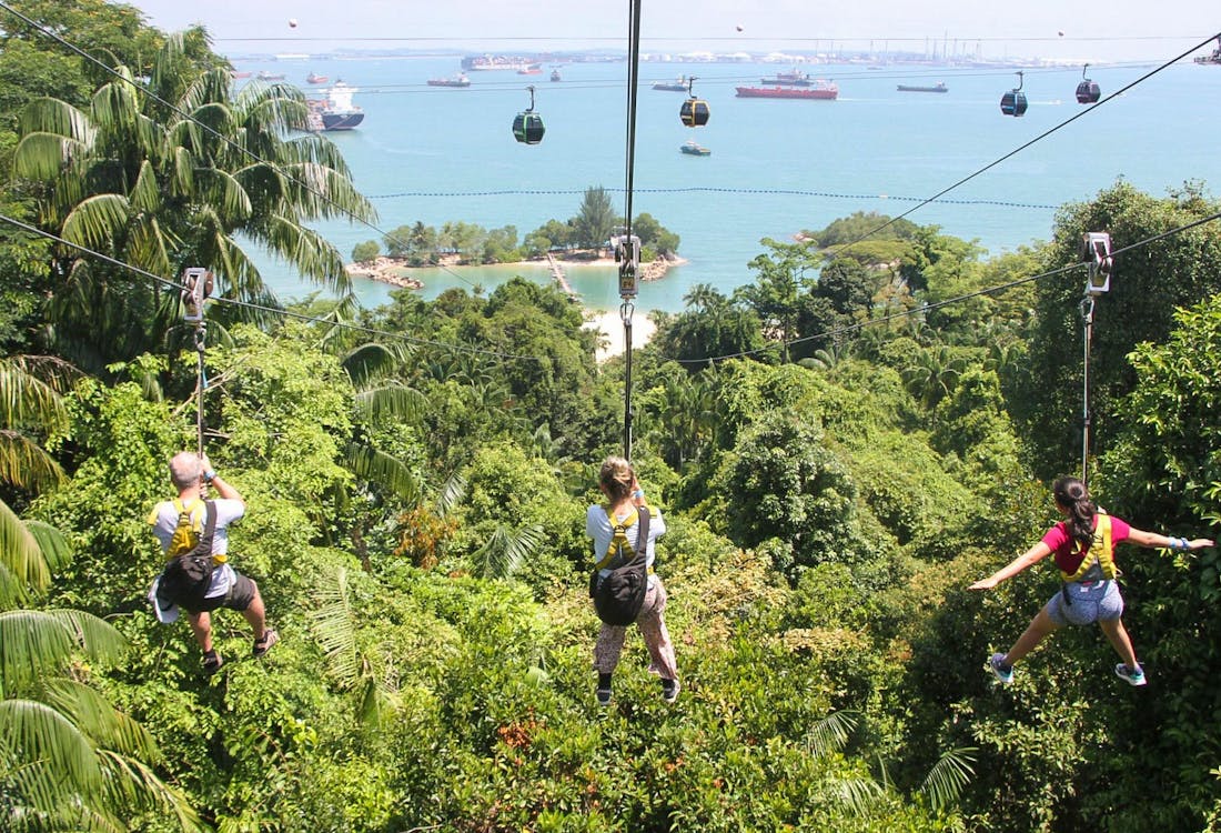 MegaZip Adventure Park