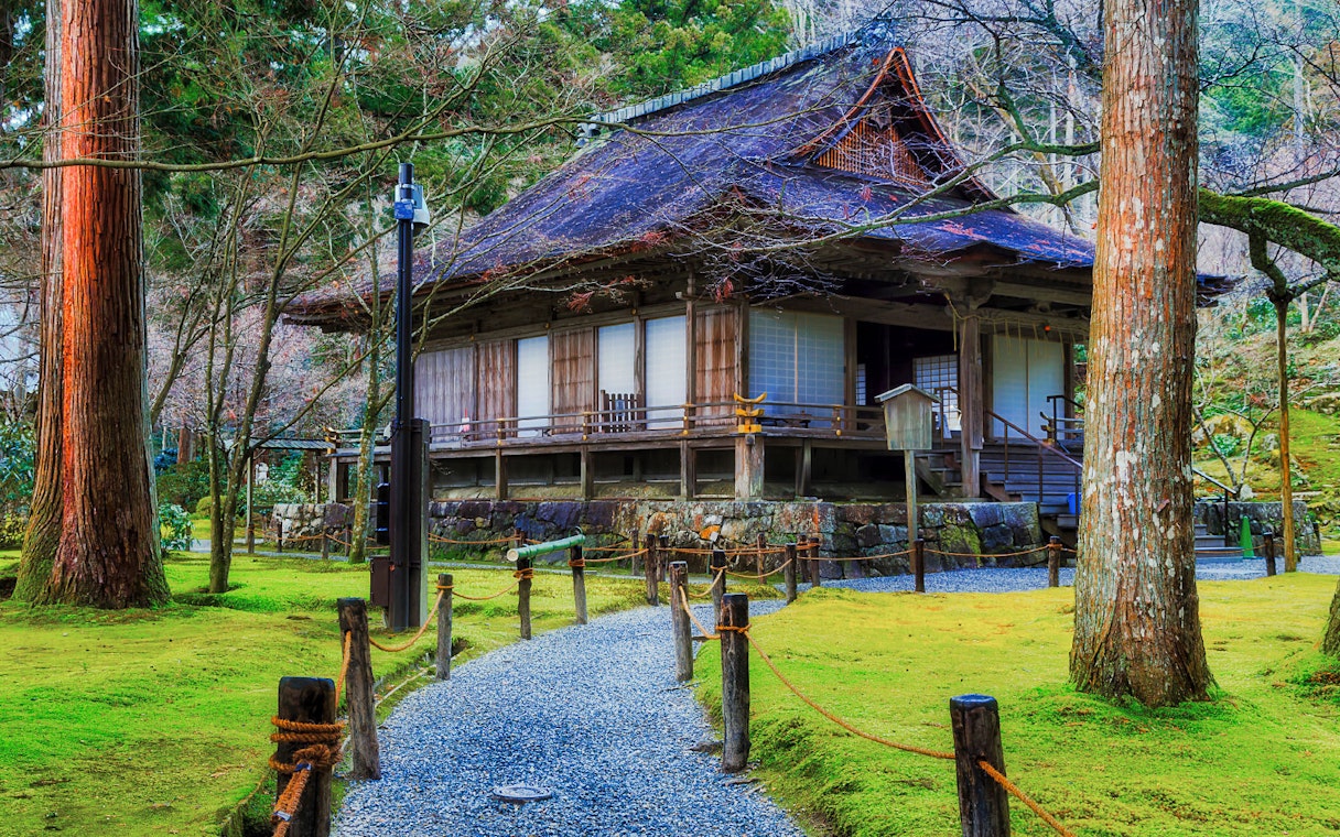 Pathway leading to Sanzen-in Temple surrounded by trees in Kyoto.