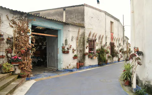 Street in San Sperate Village with wall-mounted plants and open doorway, Cagliari tour.